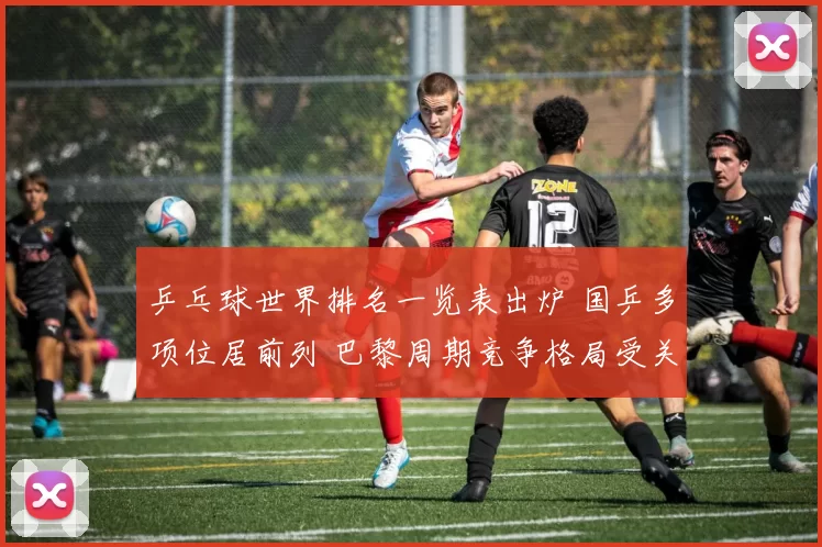 乒乓球世界排名一览表出炉 国乒多项位居前列 巴黎周期竞争格局受关注