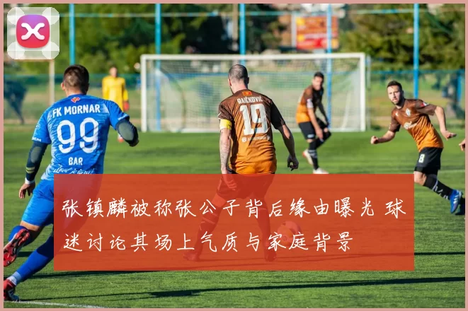张镇麟被称张公子背后缘由曝光 球迷讨论其场上气质与家庭背景