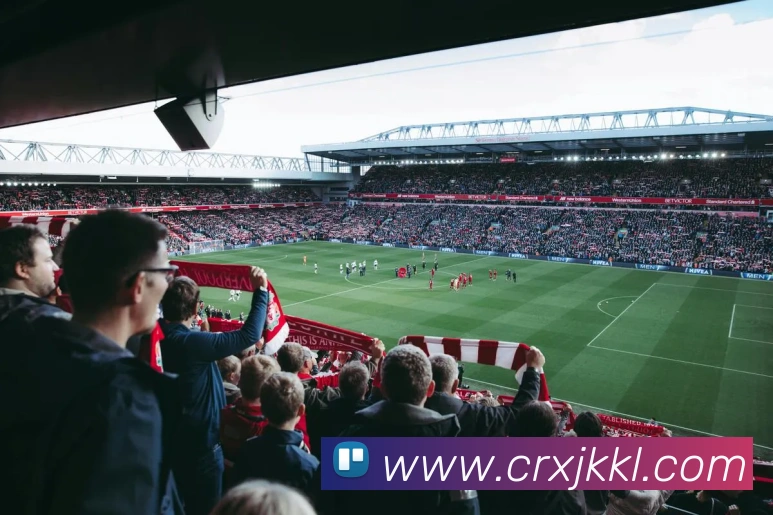 mksports在线登录入口平台生态图
